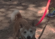 雷火电竞简介-当星轨偏折，李刚仁49秒改写尼斯与毕尔巴鄂的命运脚本