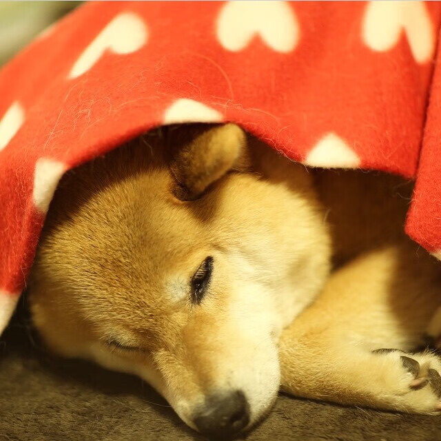 醇酒与烈焰,莫德里奇的古典终章,勒沃库森的现代宣言